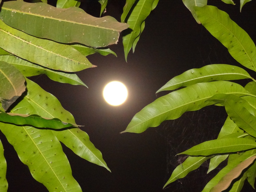 Zie de maan schijnt…