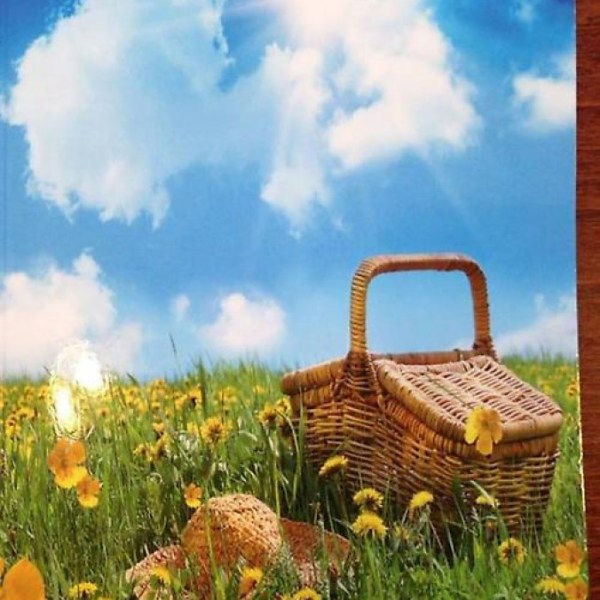 Voor alles is een eerste&nbsp;keer