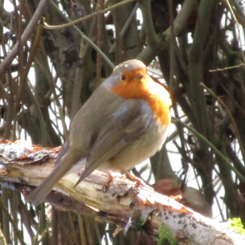 Ik heb het niet&nbsp;koud