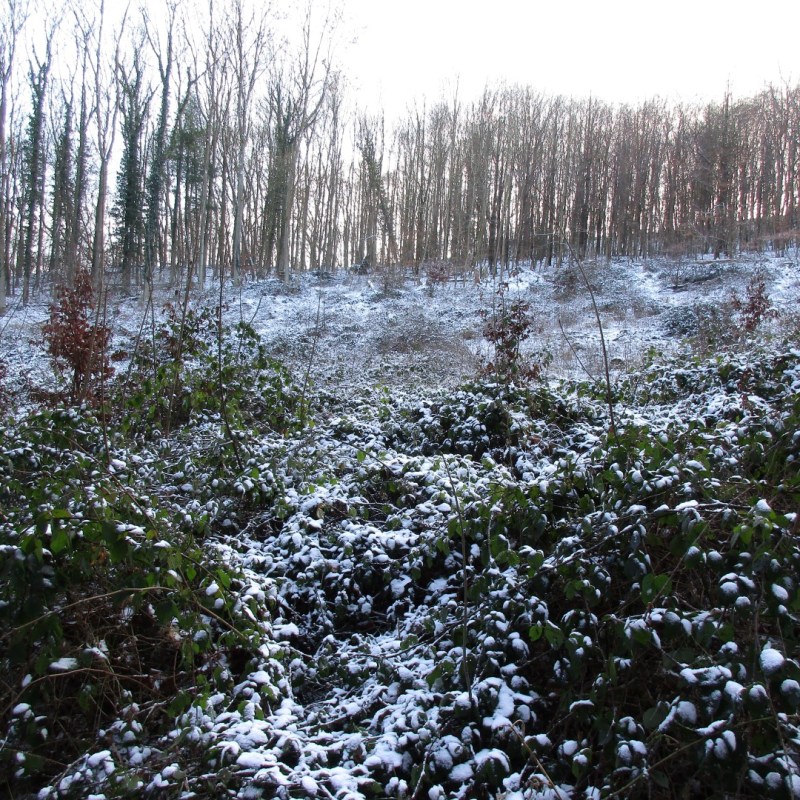 Wandelen in het Siebengebirge,&nbsp;Bonn