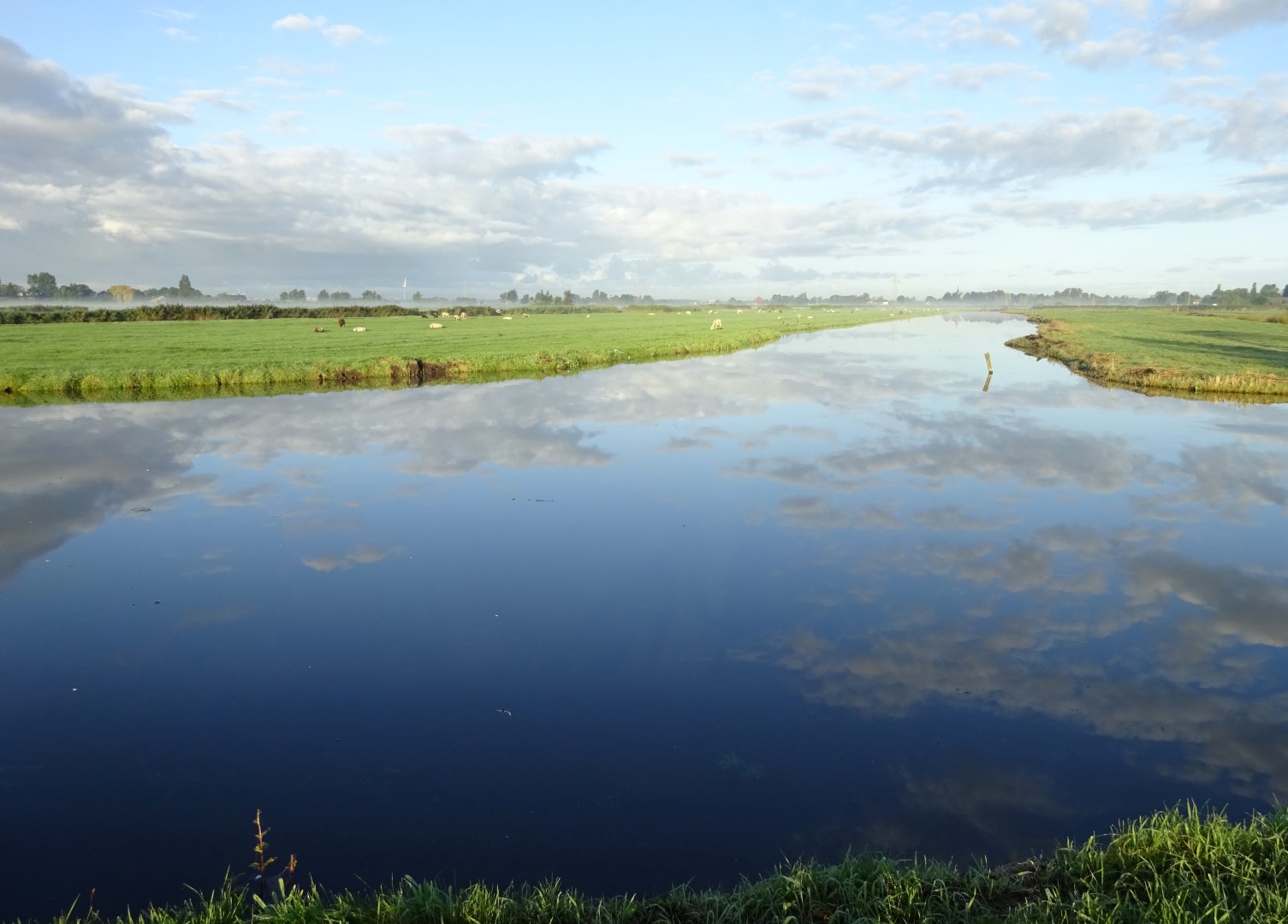 DSC00788 bewerkt (Large)