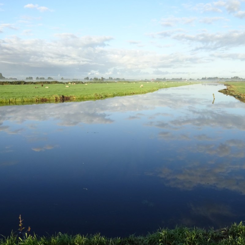 Nieuwe perspectieven