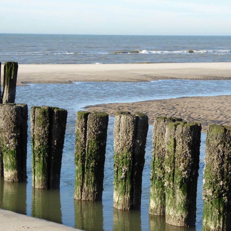 Stormbrekers, strand Bergen aan&nbsp;Zee
