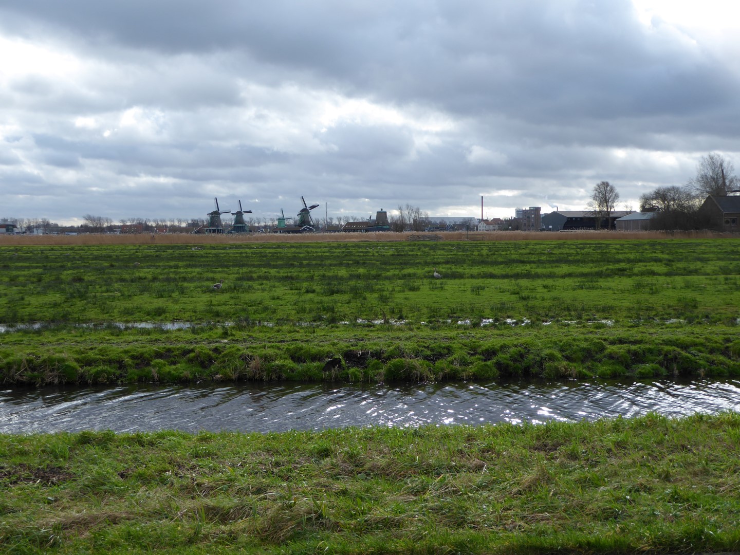 P1010156 (Large) (2)