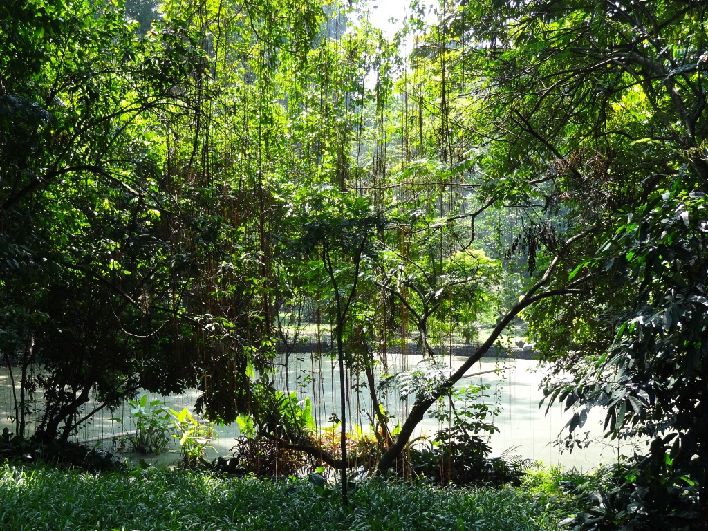 Botanische tuinen, Bogor