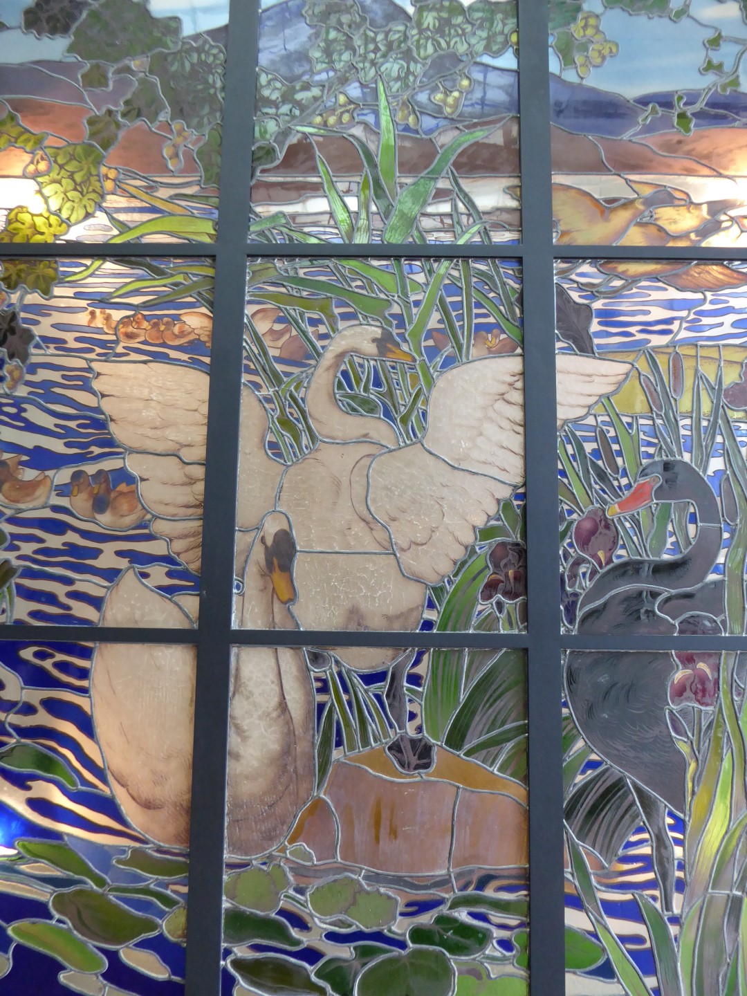 Zwanen op het meer van Annecy, Henri Carot