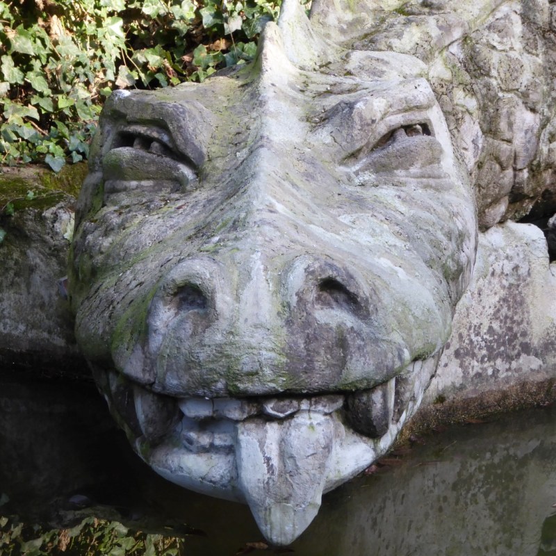 Draak, Koenigswinter