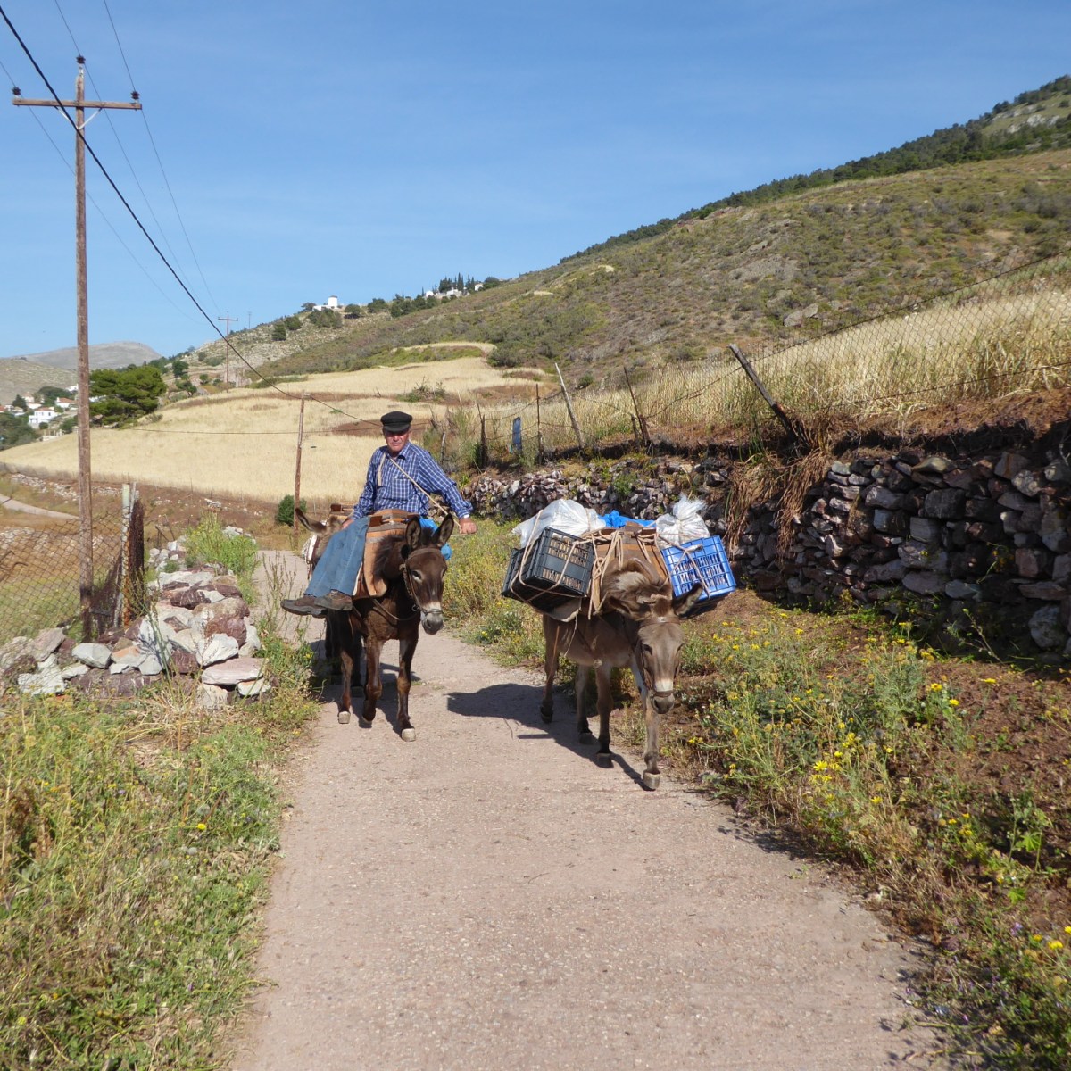 Lokaal vervoer, Hydra