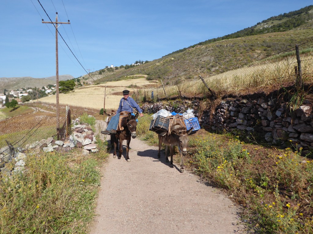 Lokaal vervoer, Hydra