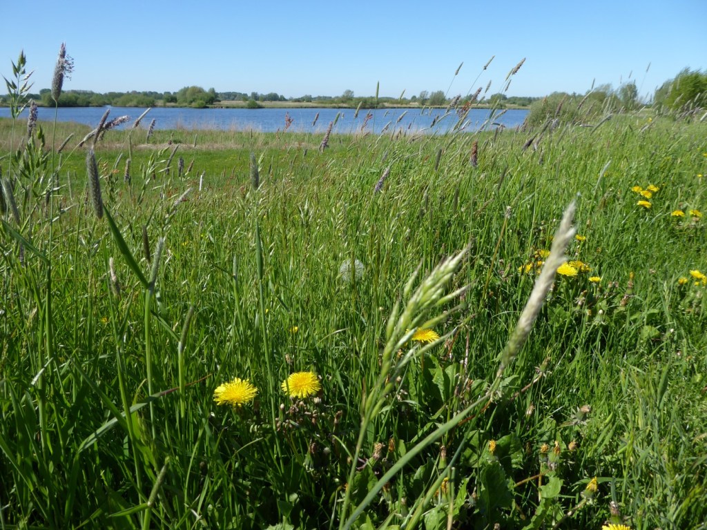 Land en water, Overijssel,&nbsp;Nederland