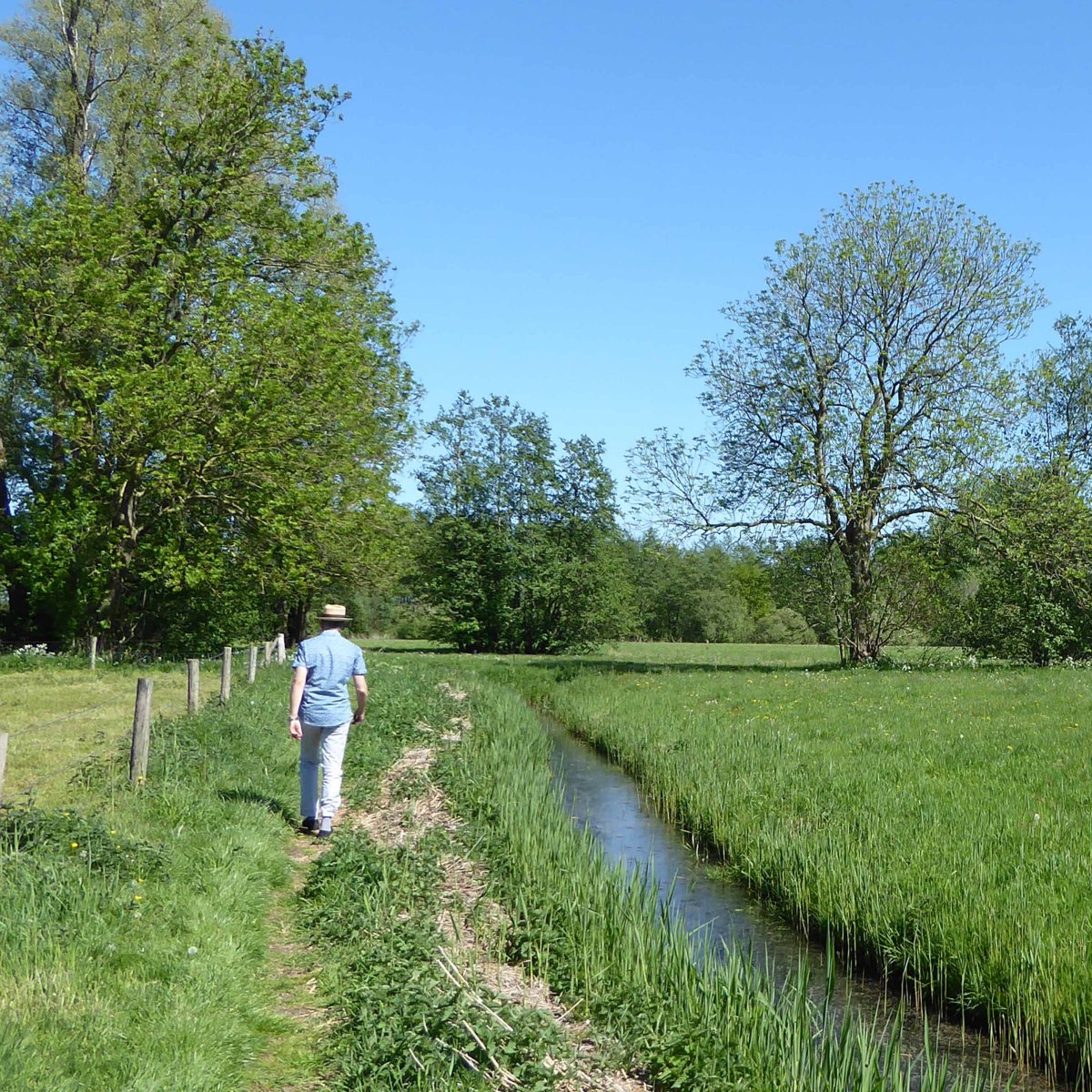 Op het land in de&nbsp;Weerribben