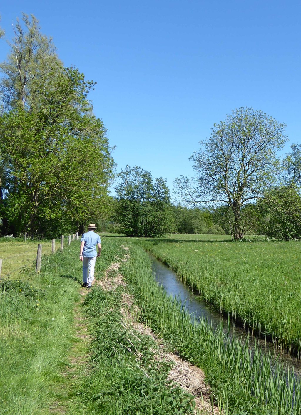 Op het land in de&nbsp;Weerribben
