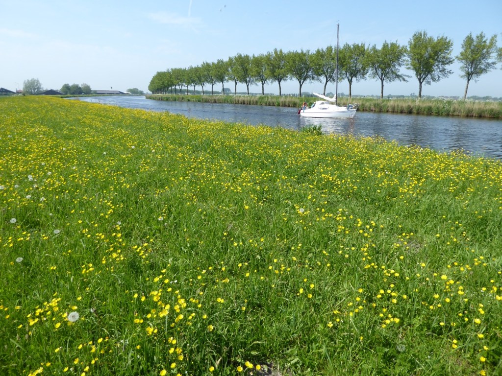 Noordhollands Kanaal