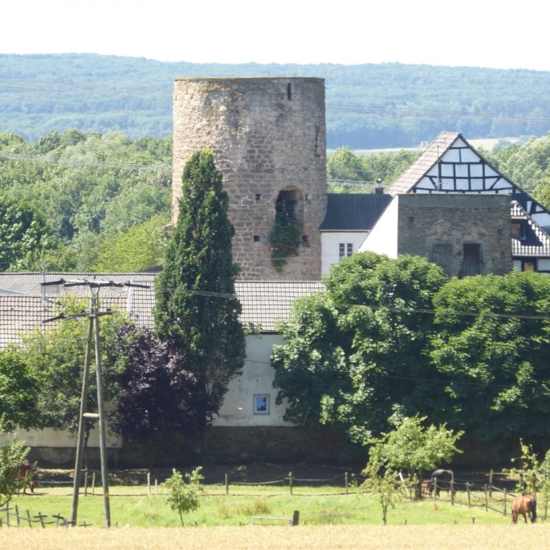 Burg Münchhausen, Wachtberg