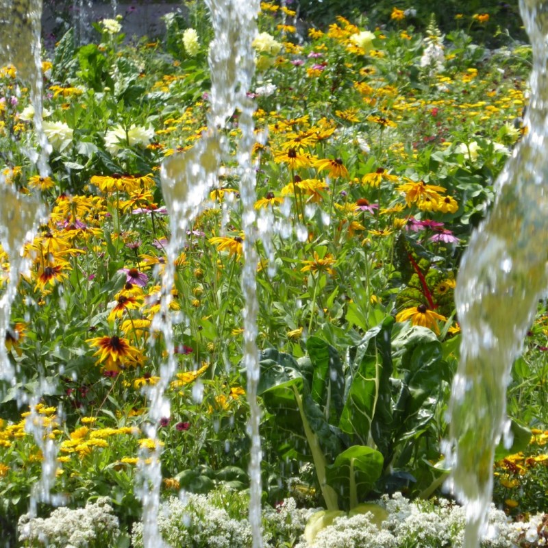 Bloemen door de&nbsp;fontein