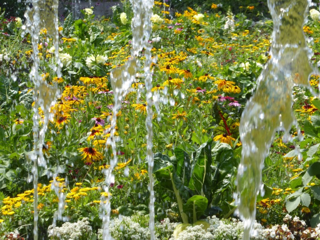 Bloemen door de&nbsp;fontein