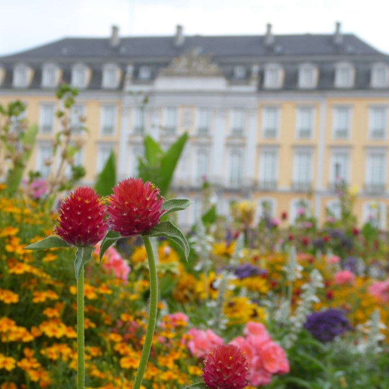 Slot Augustusburg, Brühl