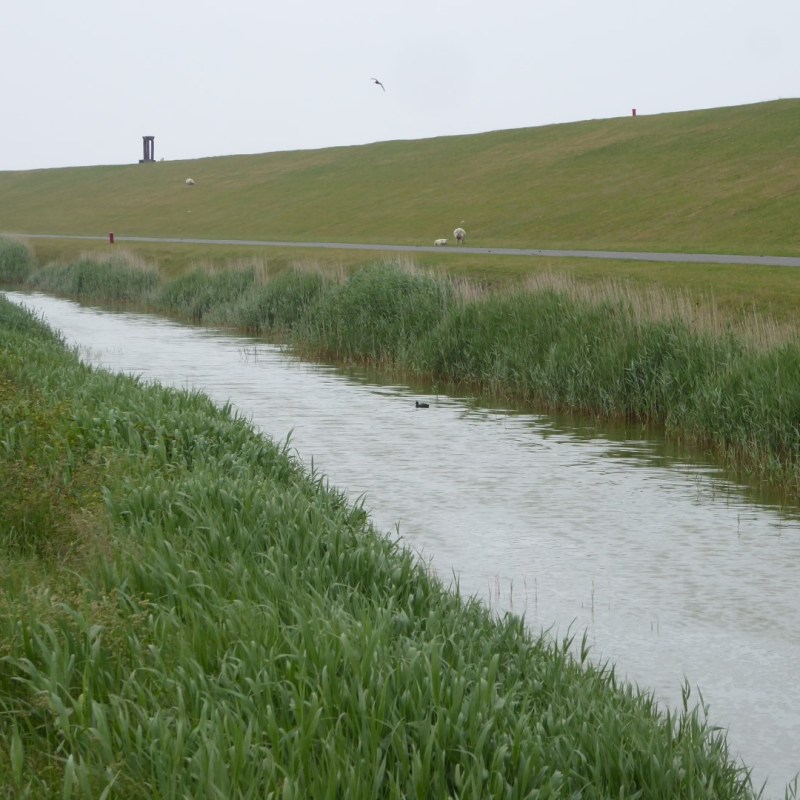 Noordkaap, Groningen