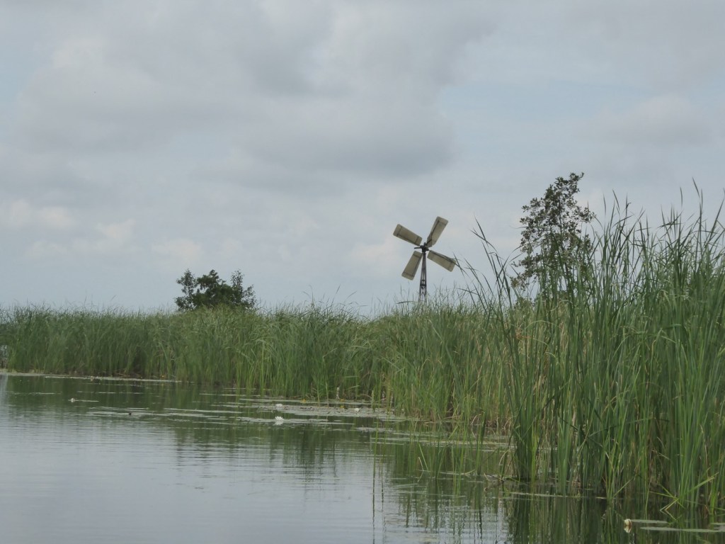 Varen in de Weerribben