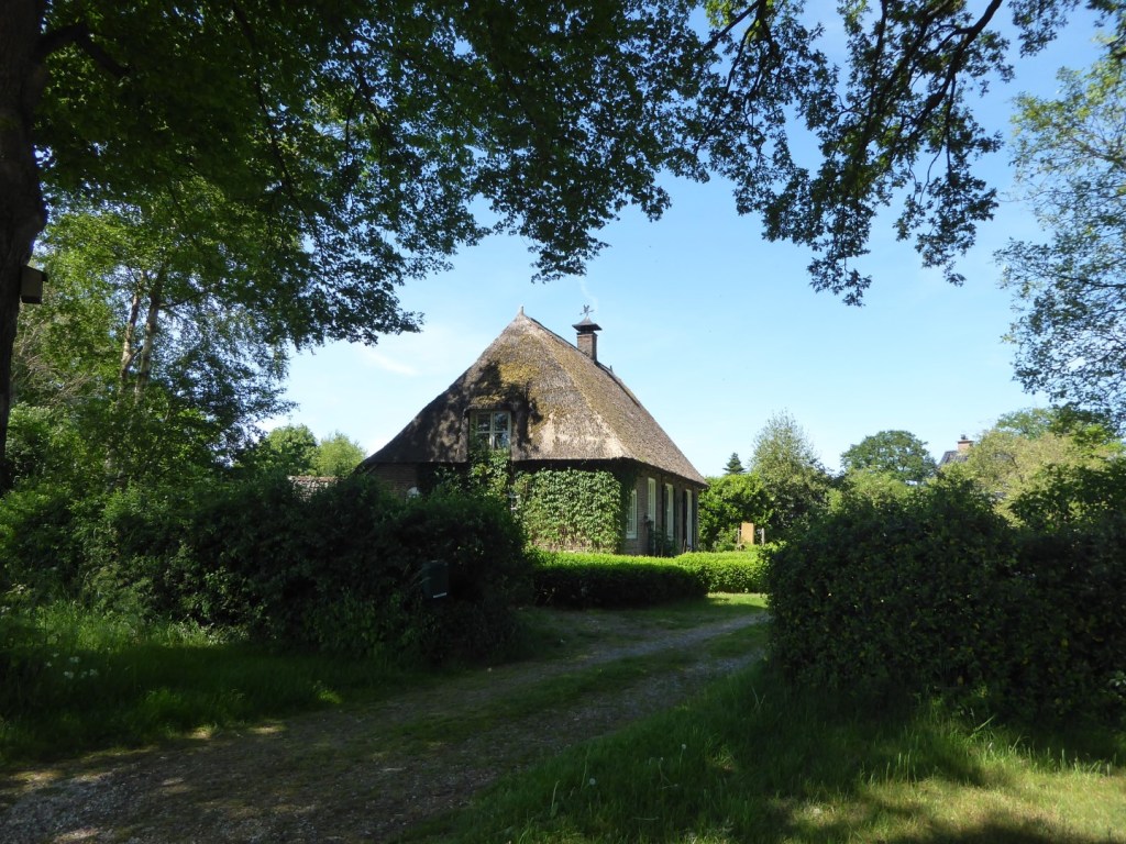 Rondom Rheeze, Overijssel