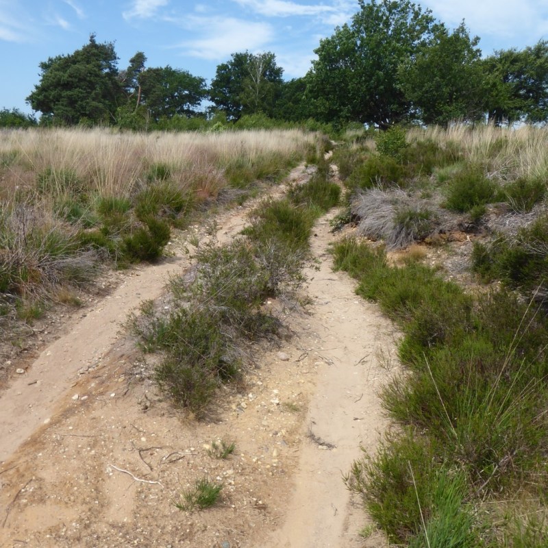 Sallandse Heuvelrug, Overijssel