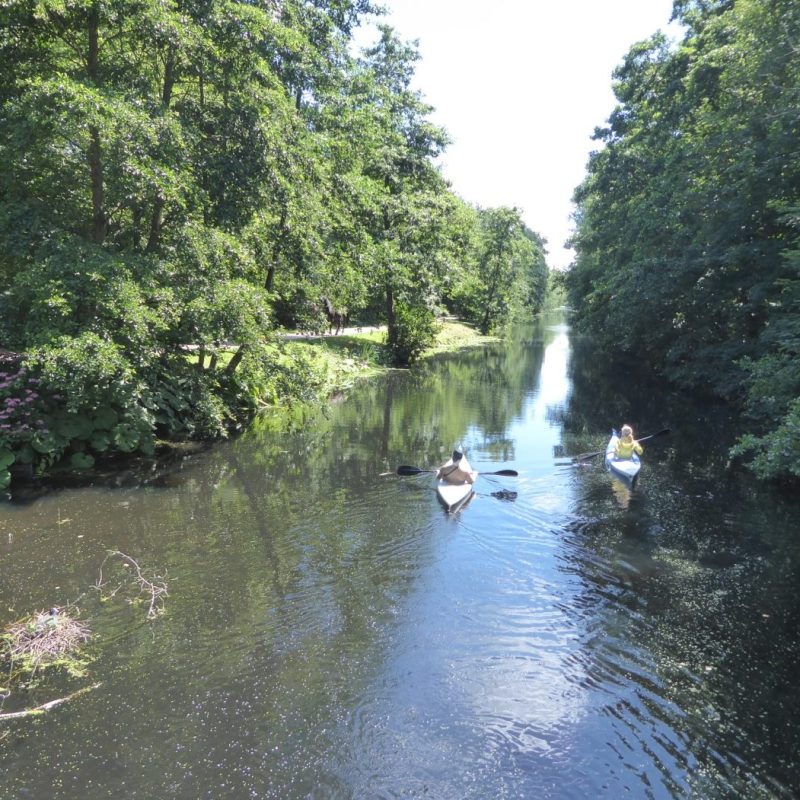 Haagse Bos, Den&nbsp;Haag