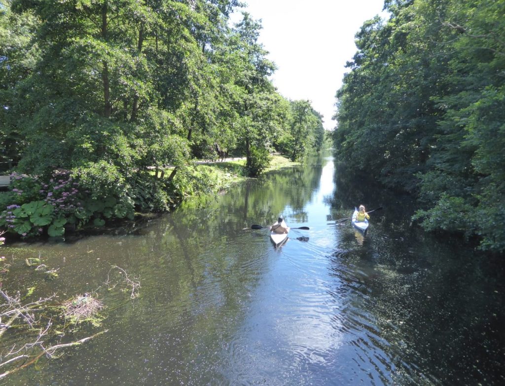 Haagse Bos, Den Haag