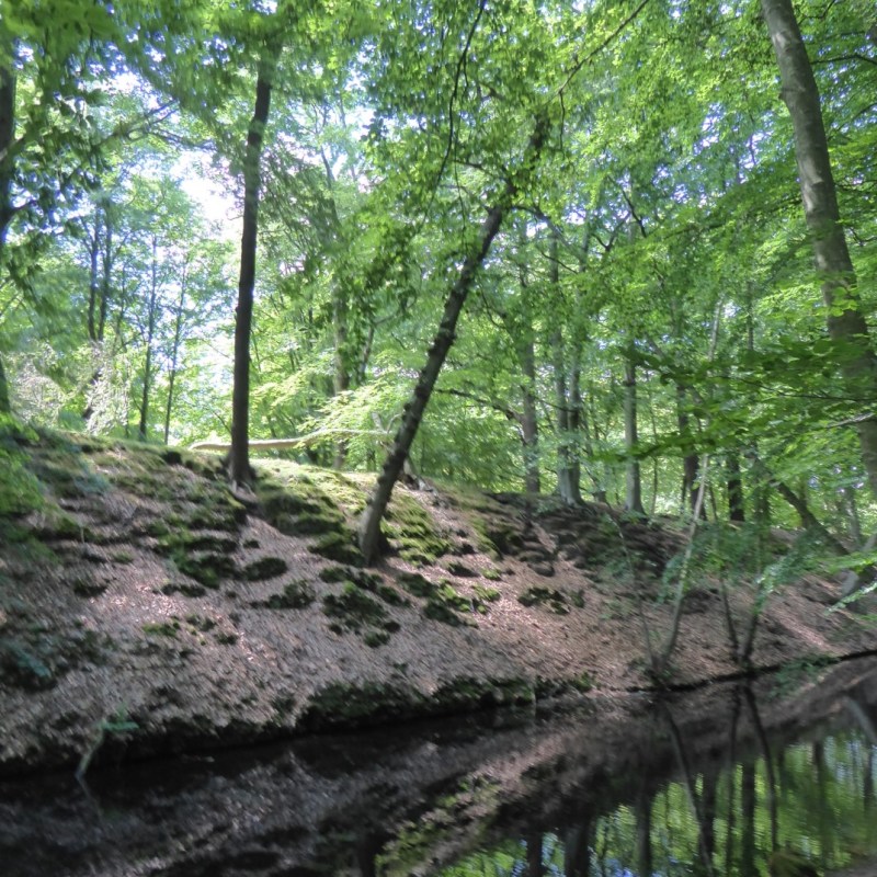Landgoed Clingendael, Den&nbsp;Haag
