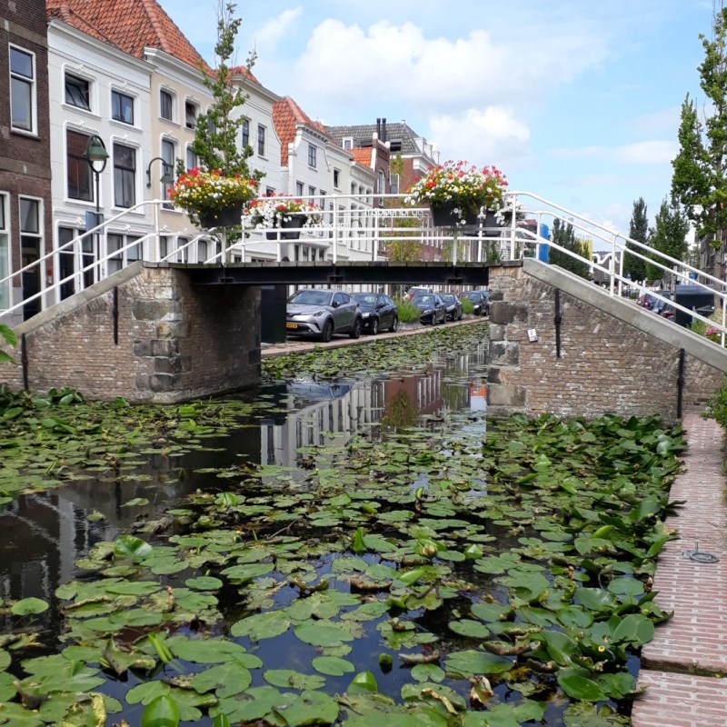 Stadswandeling Gouda