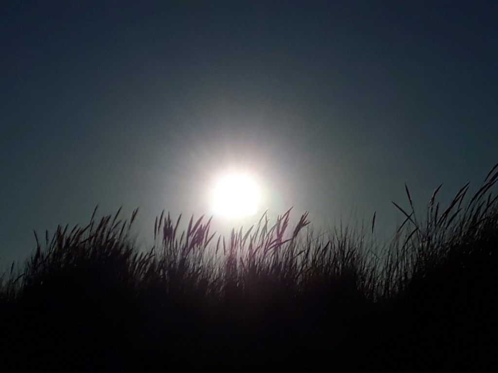 Ondergaande zon op het duin, Westduinpark, Den Haag