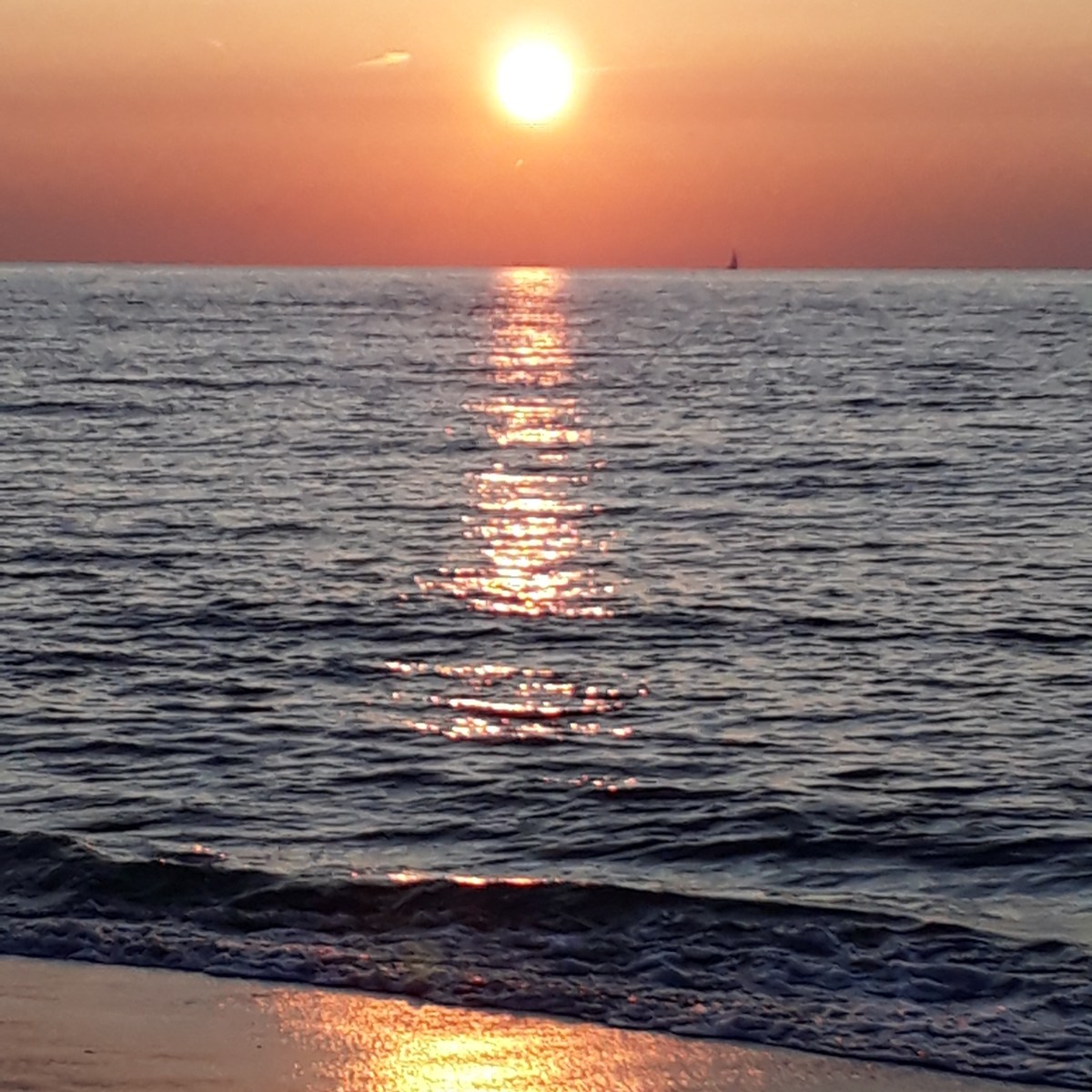 Tot ziens, zomer. Tot volgend&nbsp;jaar!