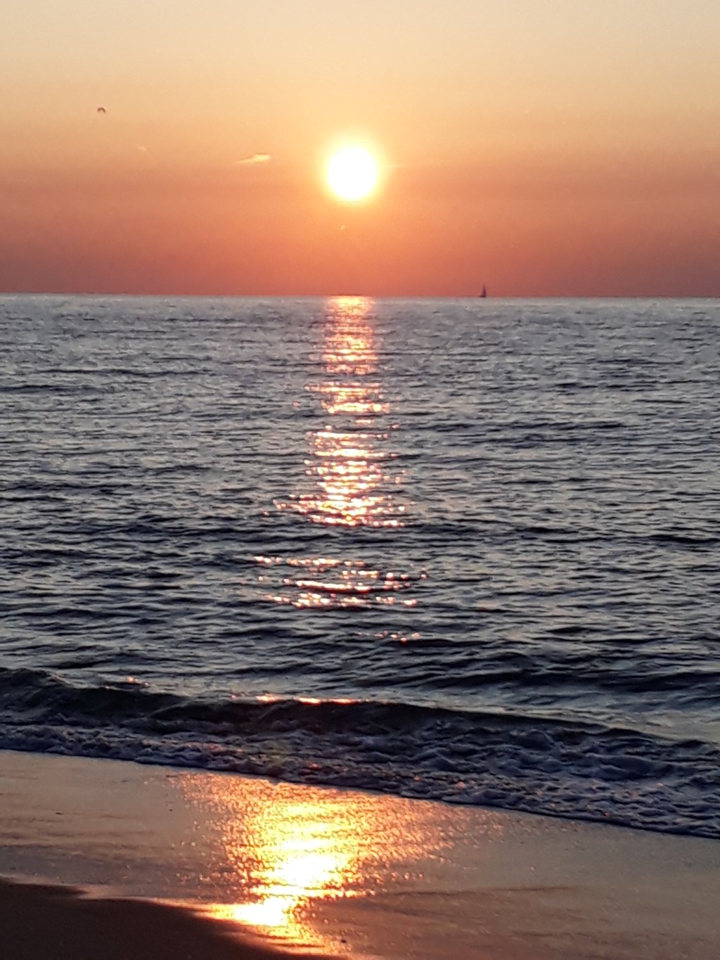 Tot ziens, zomer. Tot volgend jaar!