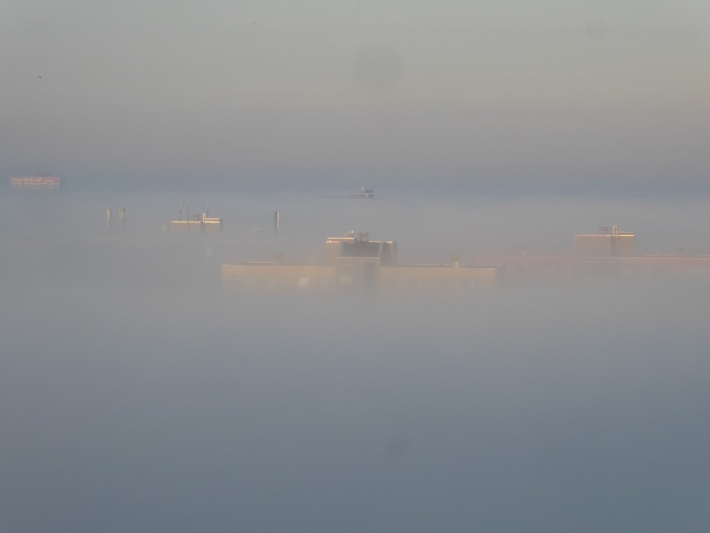 Uitzicht over Den Haag