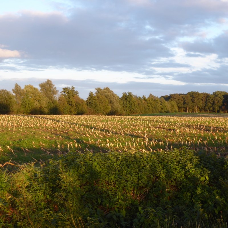 Landschappen in de&nbsp;Achterhoek