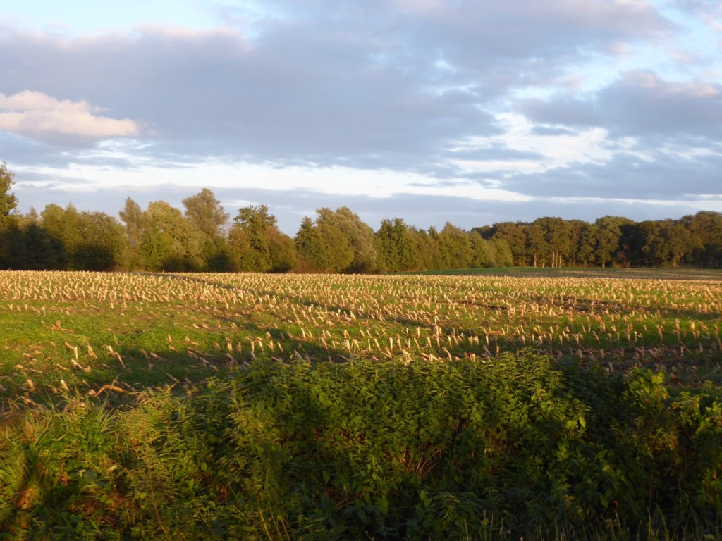 Landschappen in de Achterhoek