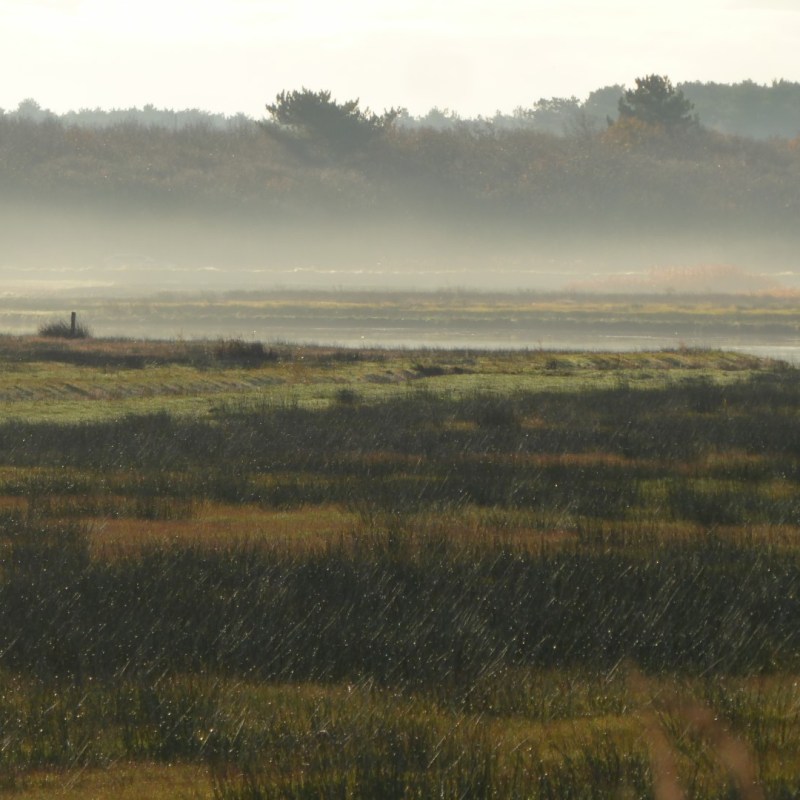 Mist over de&nbsp;velden
