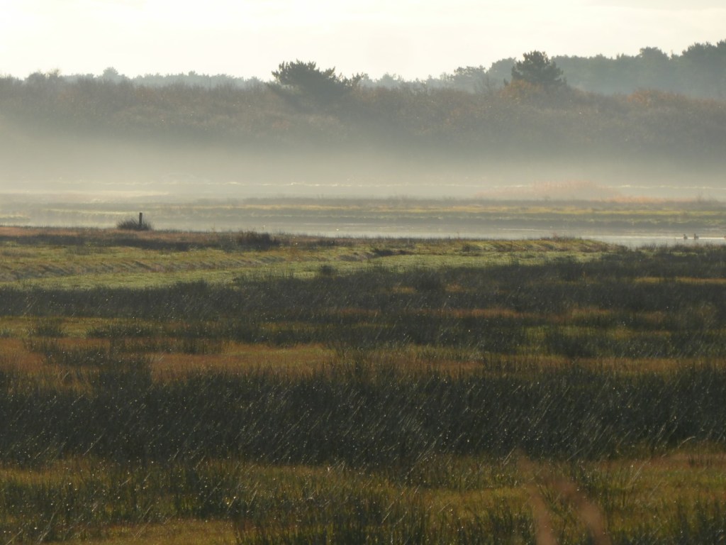 Mist over de&nbsp;velden