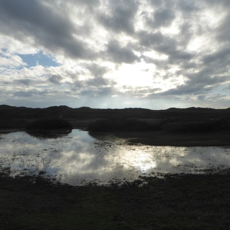 Gelukkig kerstfeest!