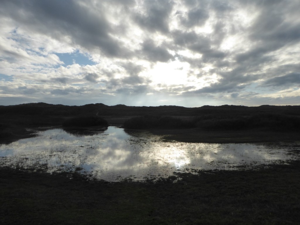 Gelukkig kerstfeest!