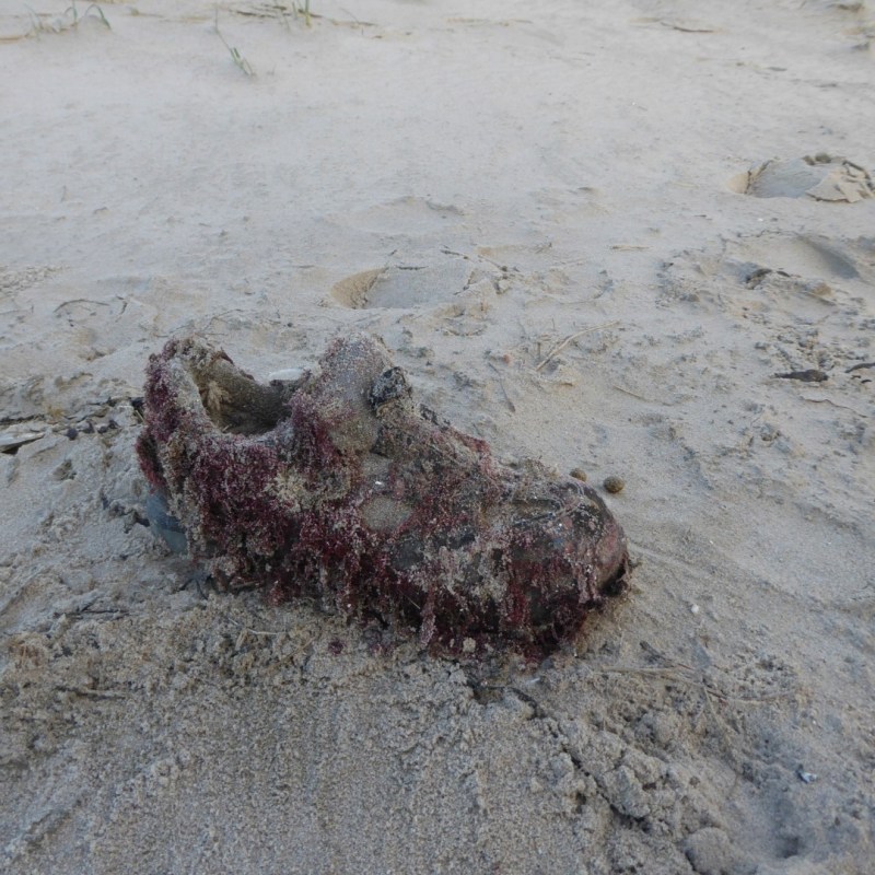 Wie heeft zijn schoen&nbsp;verloren?