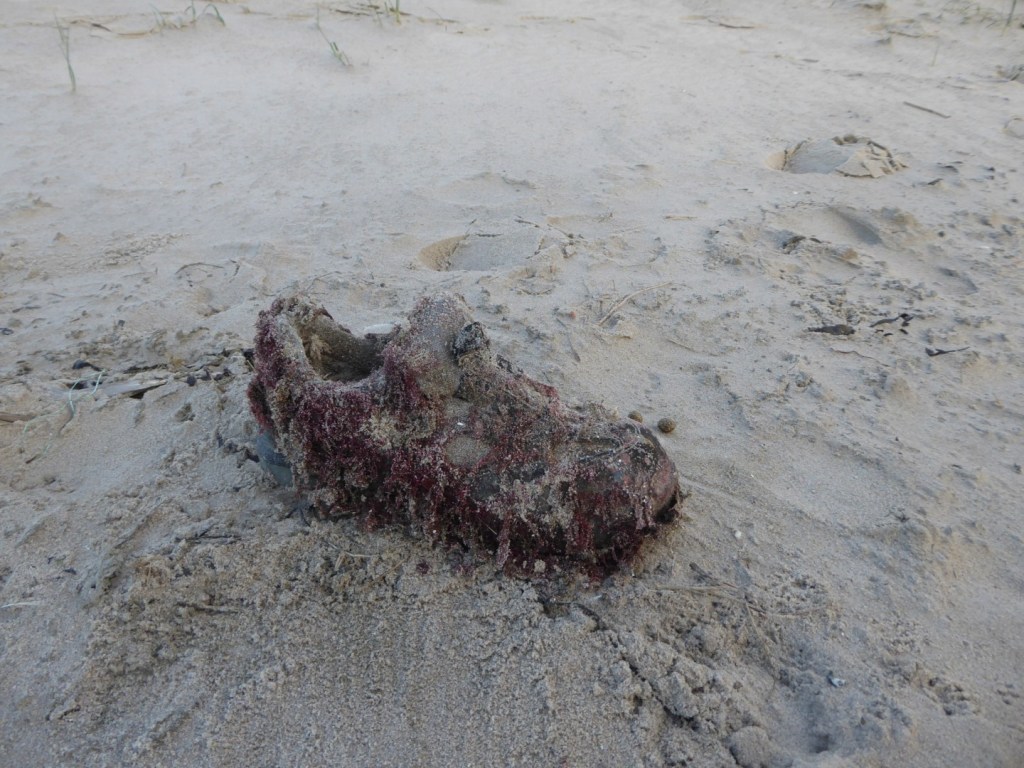 Wie heeft zijn schoen&nbsp;verloren?