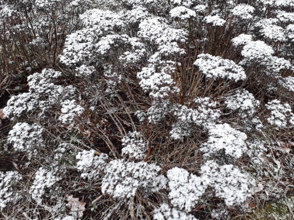Sneeuw in het Zuiderpark, Den&nbsp;Haag