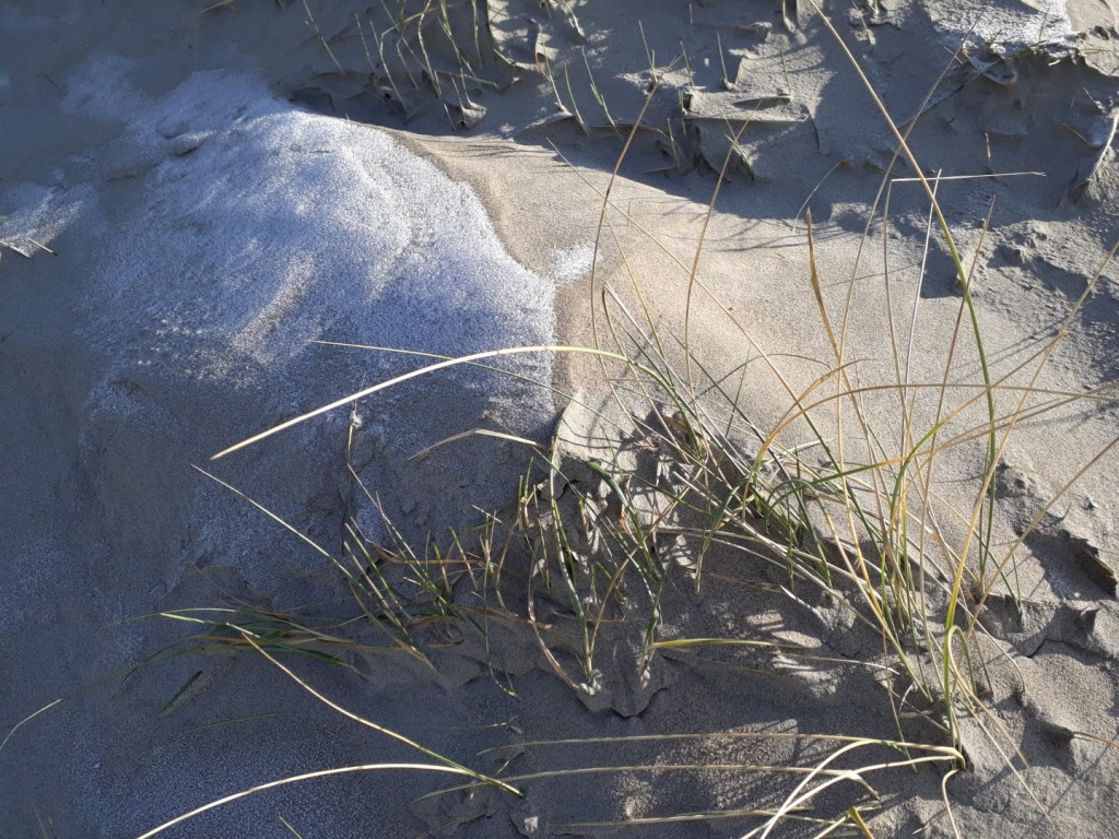 Rijp op de&nbsp;duinen