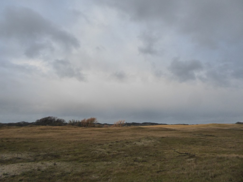De Meeuwenduinen, Westenschouwen,&nbsp;Zeeland