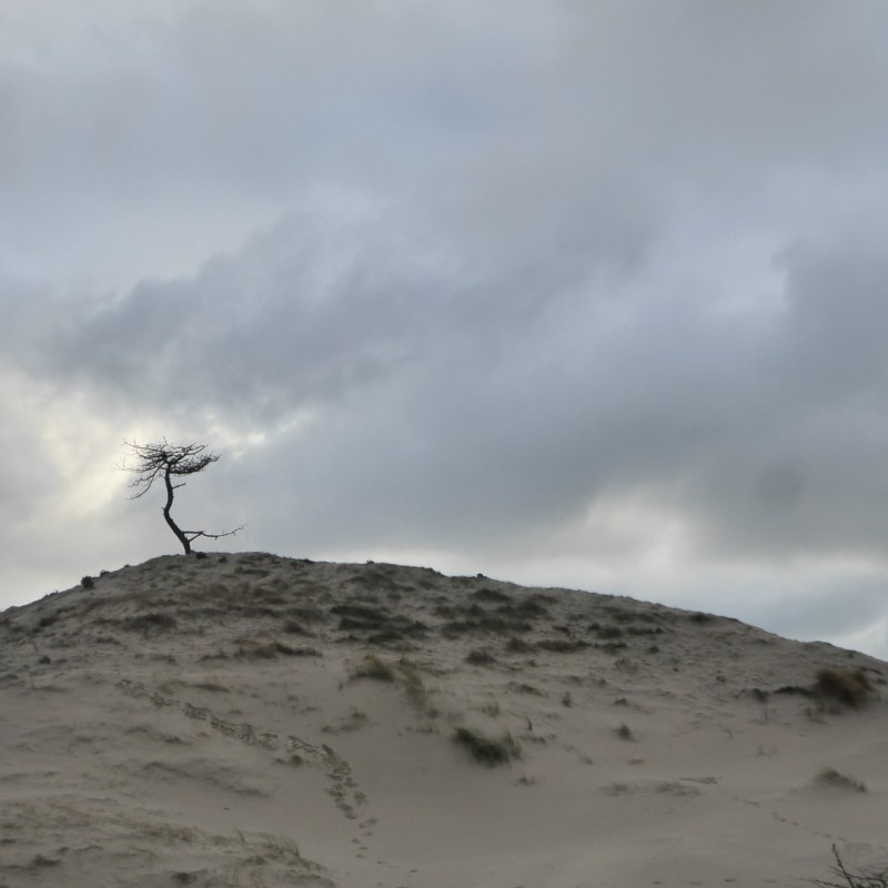 Het is eenzaam op de&nbsp;top