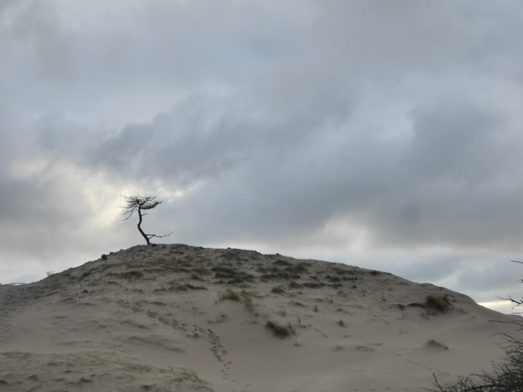 Het is eenzaam op de&nbsp;top