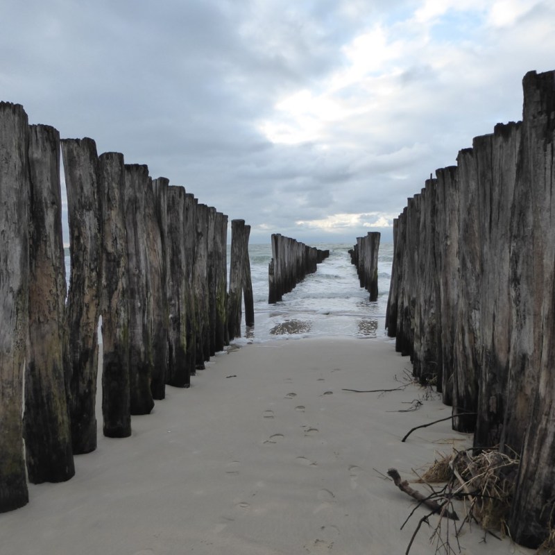 Beweging tussen de&nbsp;palen