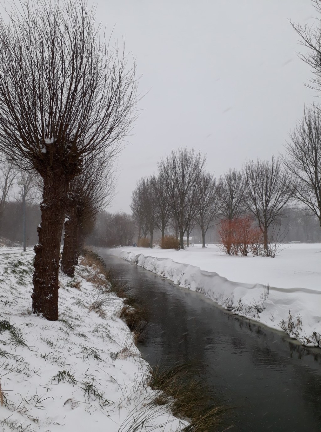 Winterwandeling in Park de Voorde,&nbsp;Rijswijk