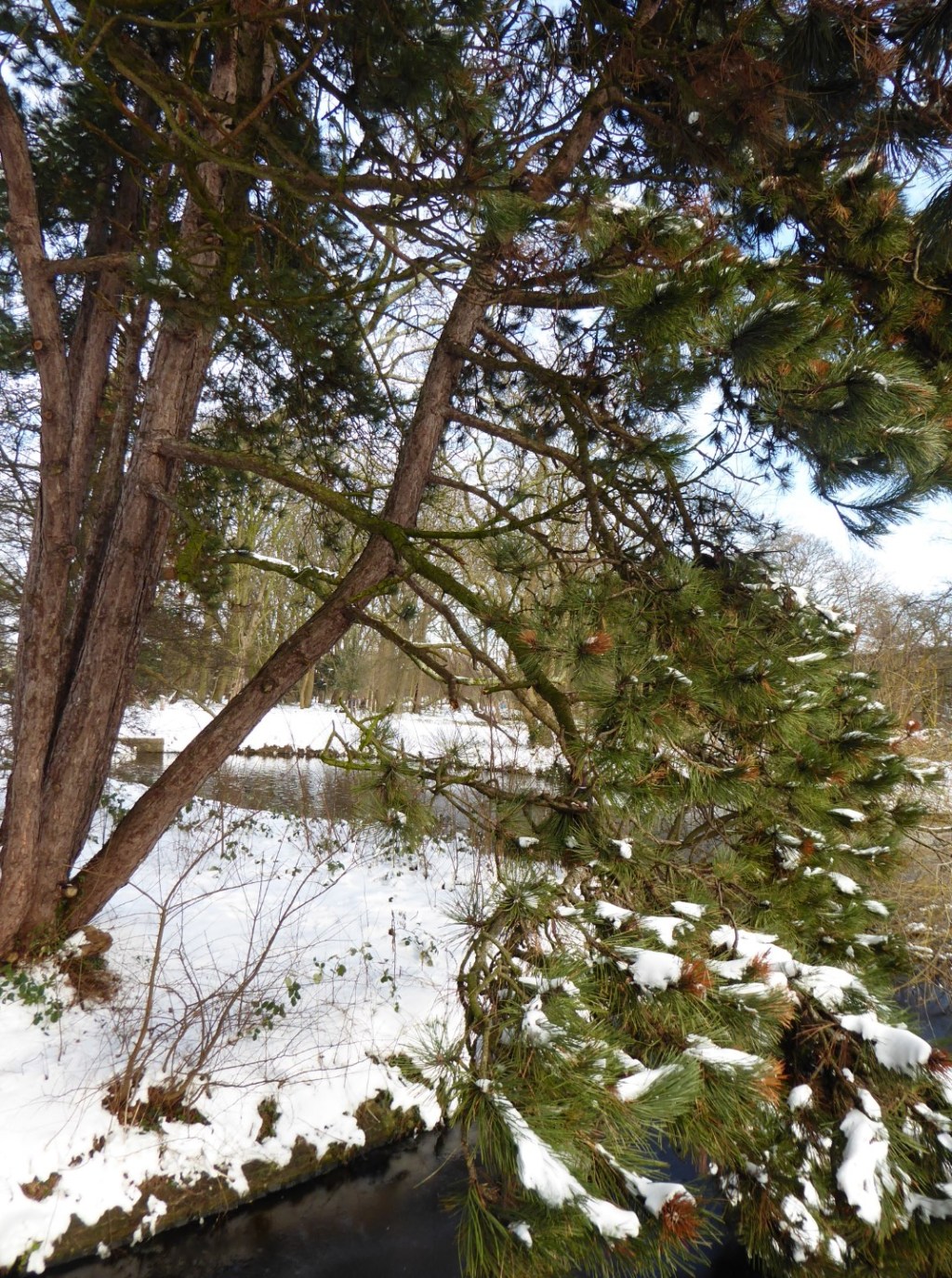 Zuiderpark in de sneeuw, Den&nbsp;Haag
