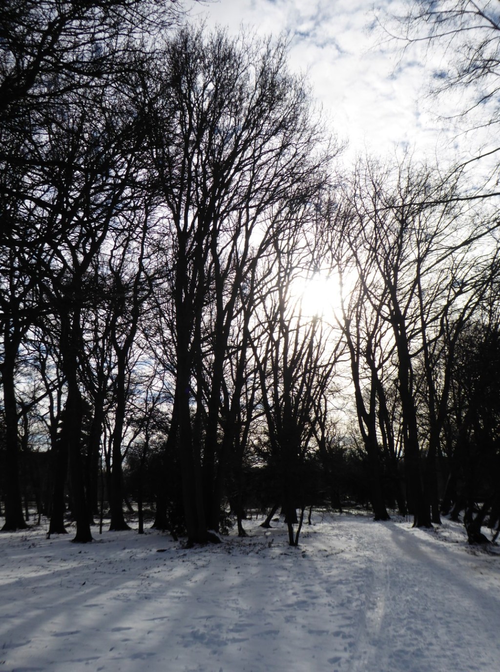 Silhouetten in de&nbsp;sneeuw